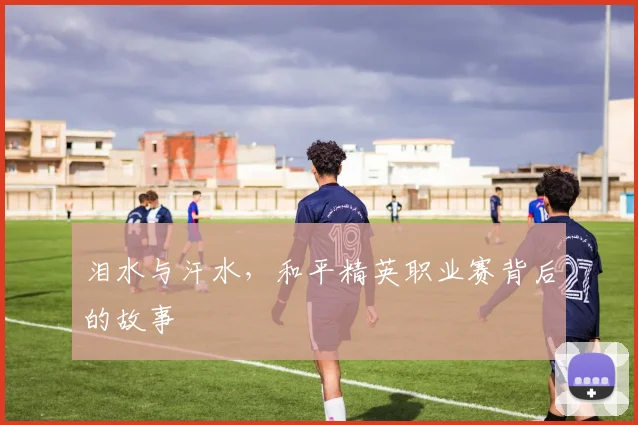 泪水与汗水,和平精英职业赛背后的故事