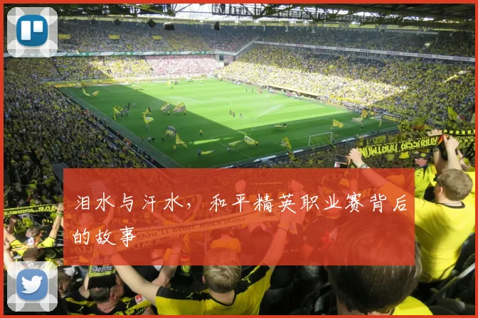 泪水与汗水，和平精英职业赛背后的故事