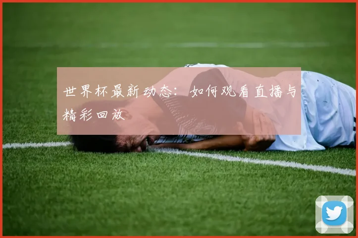 世界杯最新动态:如何观看直播与精彩回放