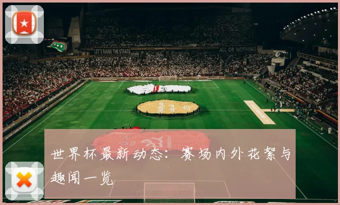 世界杯最新动态：赛场内外花絮与趣闻一览