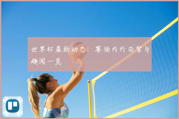 世界杯最新动态：赛场内外花絮与趣闻一览